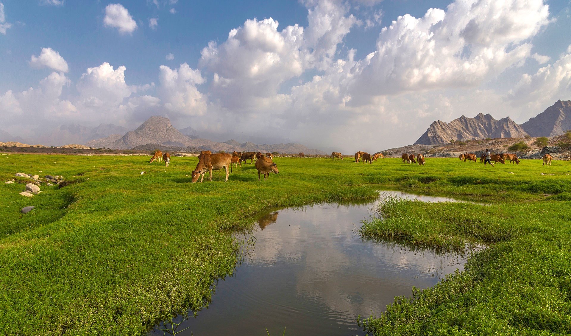 Al-Bardani valley